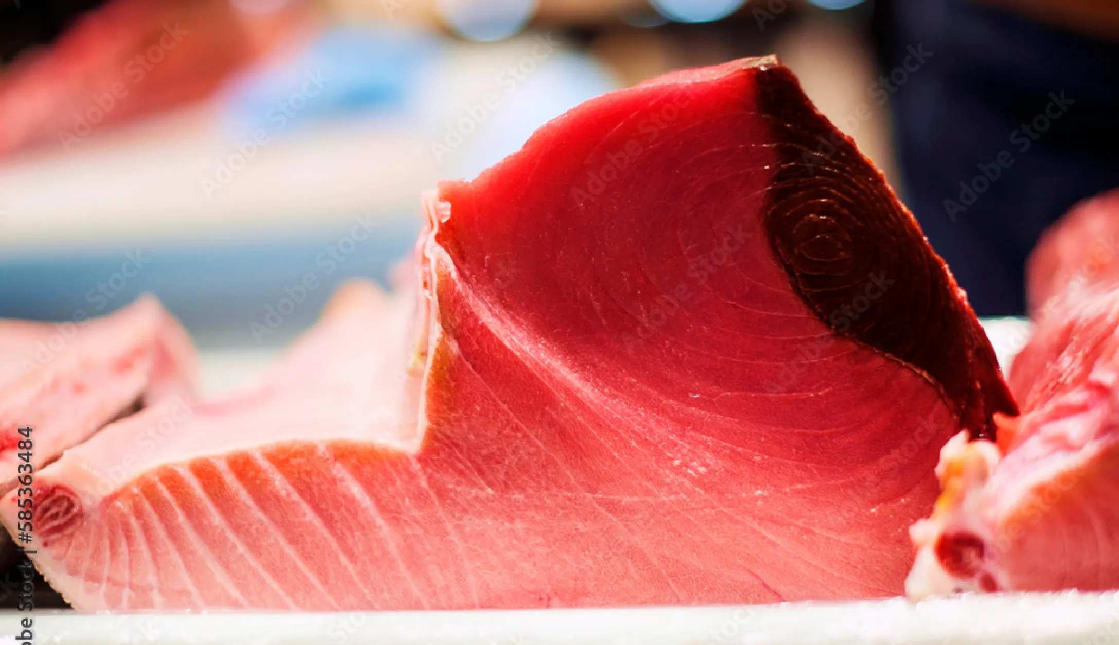 マグロ専門加工会社直営